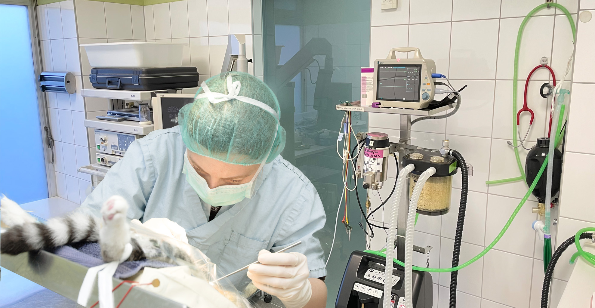 Tierarztpraxis Dr. Med. Vet. Sebastian Justus Leistungen – Tierarztpraxis Dr. med. vet. Jennifer Bendel